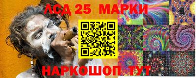 гашик Бердск