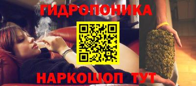 гашик Бердск