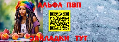 гашик Бердск