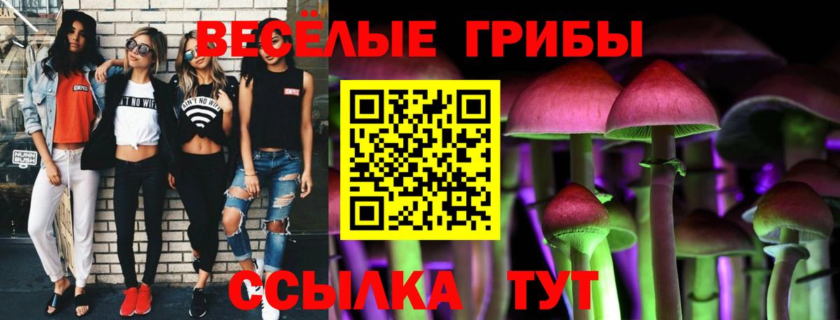 купить наркоту  Вход с VPN  Галлюциногенные грибы Psilocybe  Карачаевск  Псилоцибиновые грибы прущие грибы 